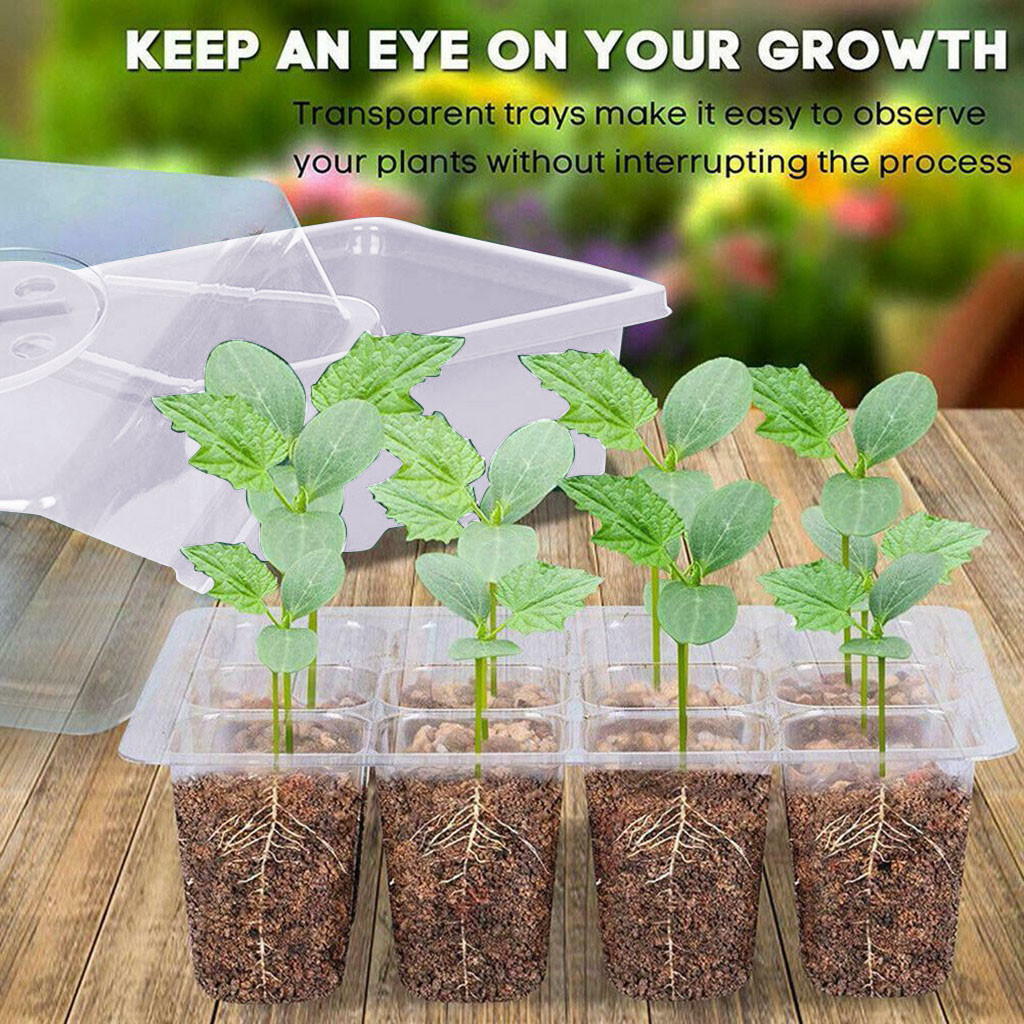 Seed Starter Trays - 12 Hole Plant Seed Grow Box