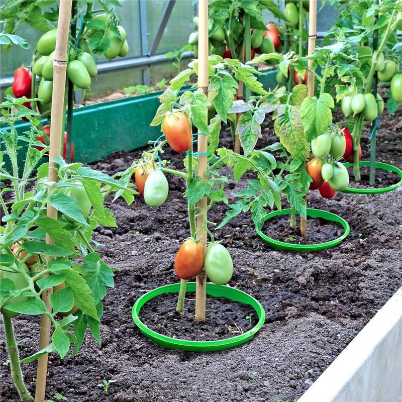 Gardening Tools For Weeds - LIKE WISH Permanent Plant Growth Collar