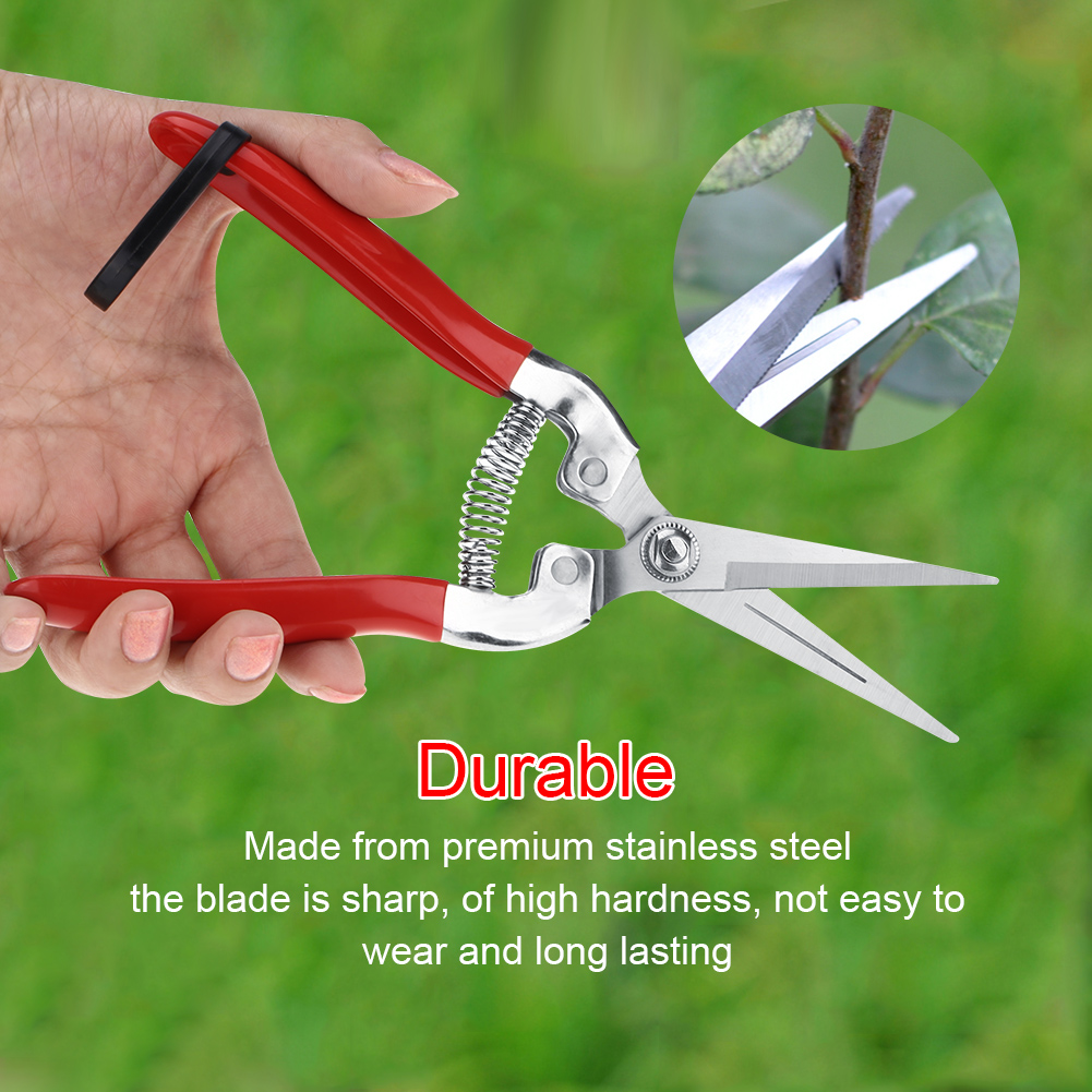 Sturdy Fruit Tree Bonsai Garde - đánh giá và giá Gardening Tools Pink