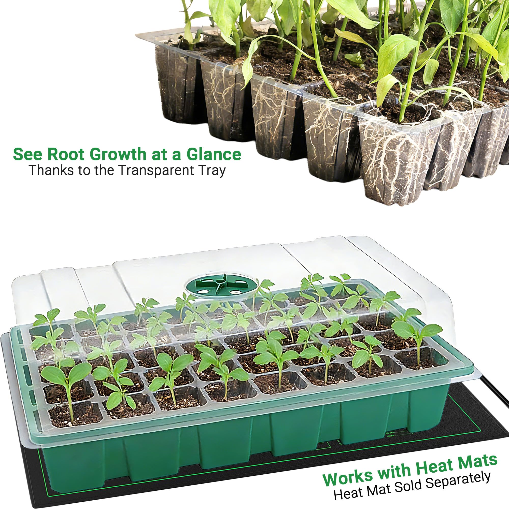 With Transparent Cover Greenho - đánh giá và giá Seed Starter Trays
