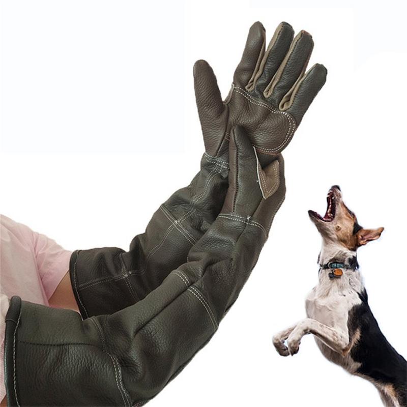 Pet Gloves Cowhide Leather Ant - đánh giá và giá Gardening Tools Gloves