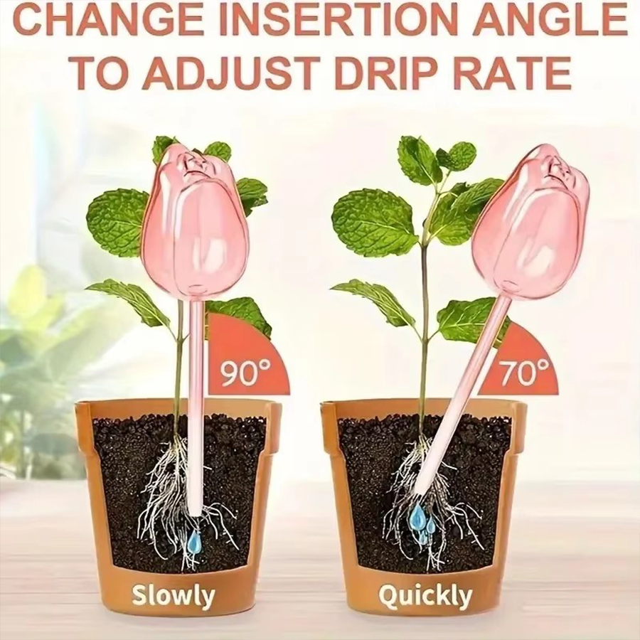 Transparent Thick PET Tulip Sh - đánh giá và giá Gardening Tools And Equipment