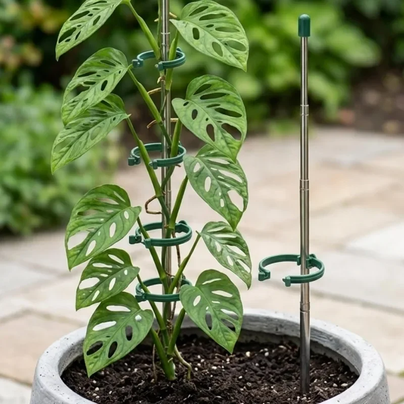 5/1PCS Retractable Plant Suppo - đánh giá và giá Gardening Tools Range