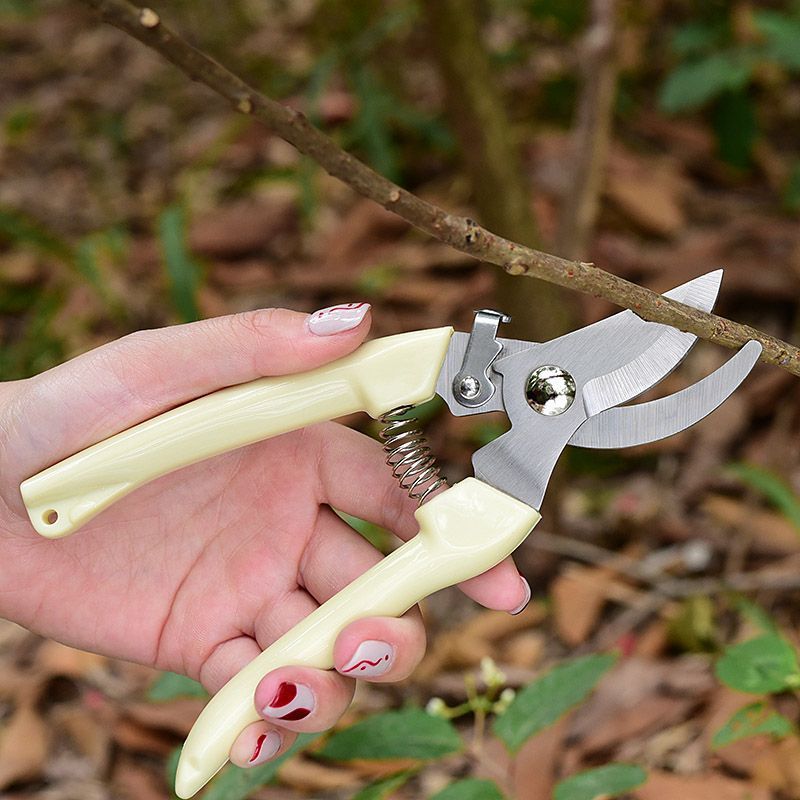Labor‑Saving Garden Pruning Sh - đánh giá và giá Gardening Tools Usa
