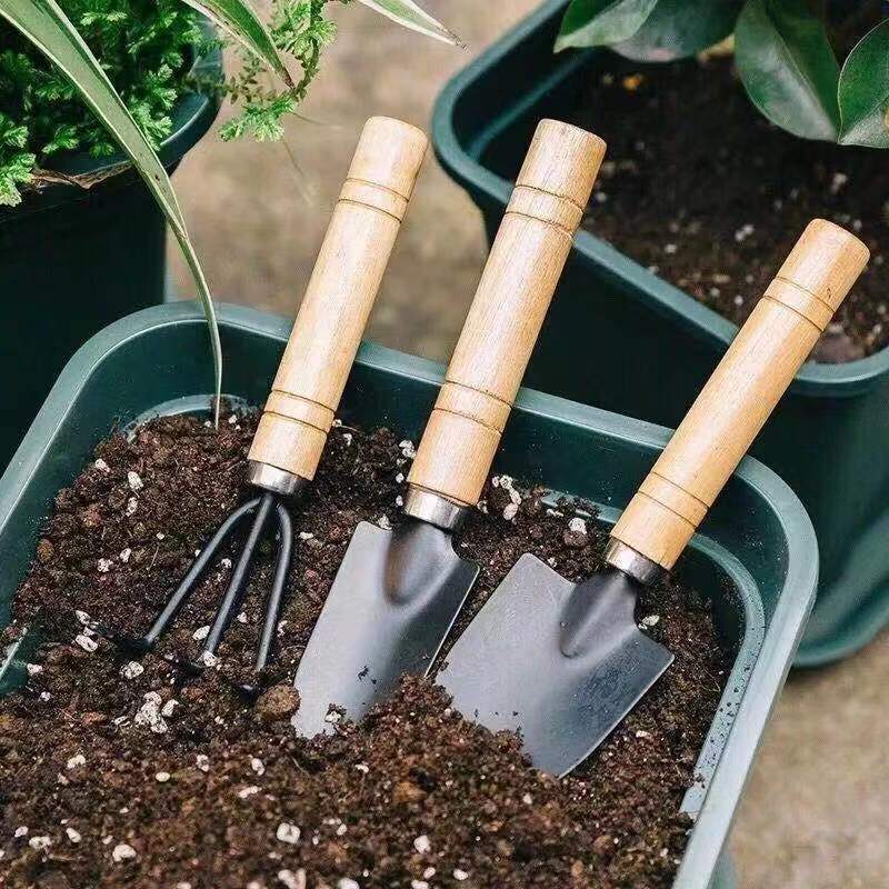 3PC/1Set Mini Gardening Tools  - đánh giá và giá Gardening Tools Usa