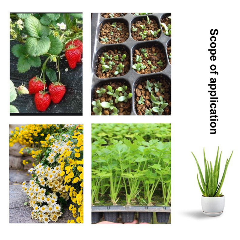 10Pcs Seedling Tray Plastic Ga - đánh giá và giá Seed Starter Trays