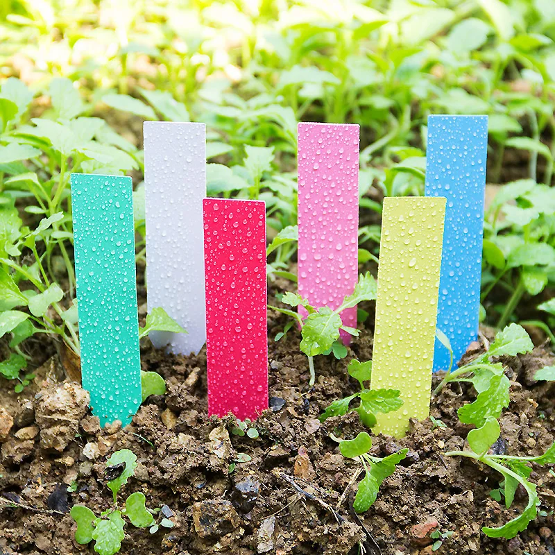 100 Chiếc Dày 4Inch Vật Có Nhã - đánh giá và giá Plant Label Tags