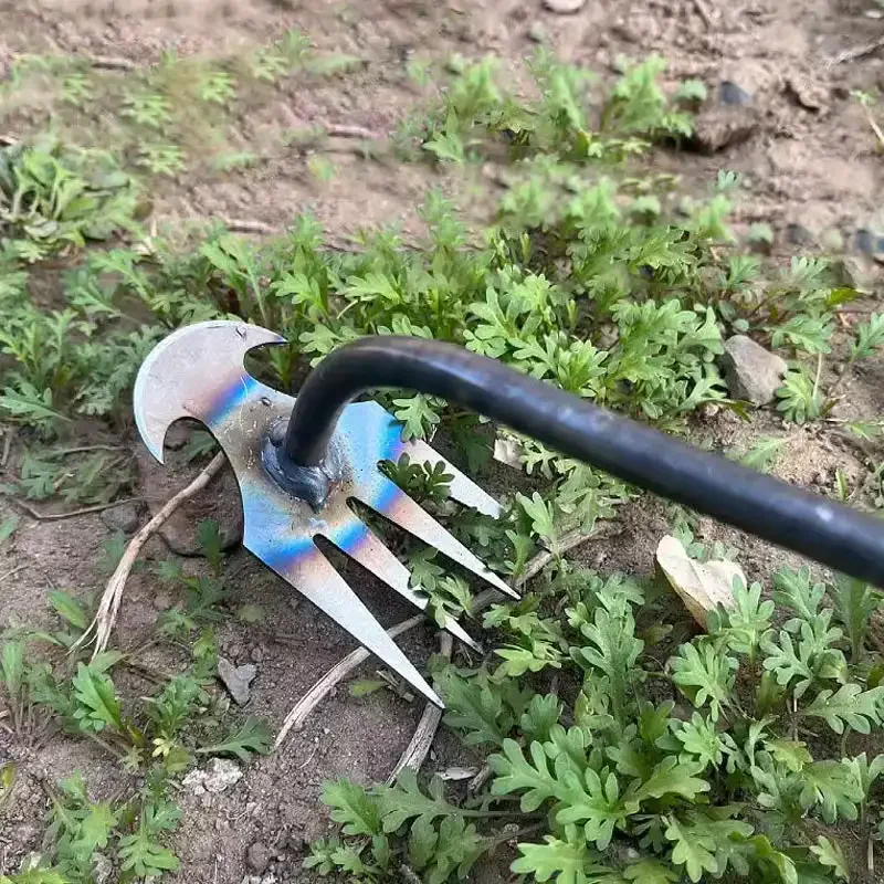 Manganese Steel Garden Weeders - đánh giá và giá Gardening Tools For Weeds