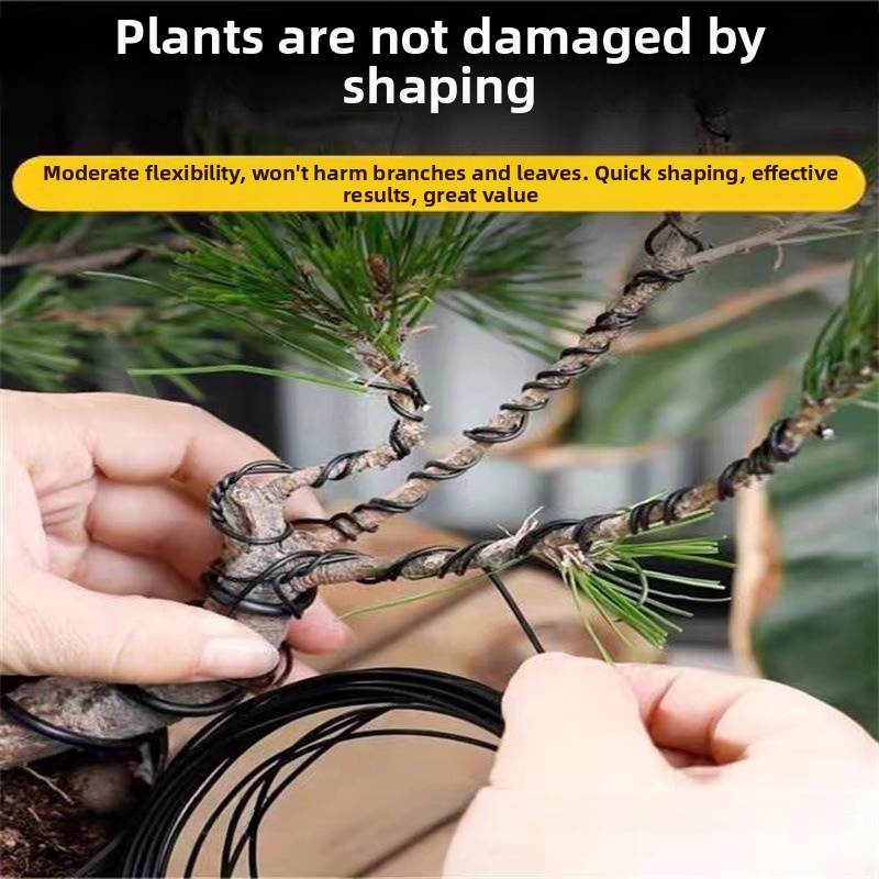 1.5MM Bonsai Wires Aluminum Bo - đánh giá và giá Gardening Tools Uses