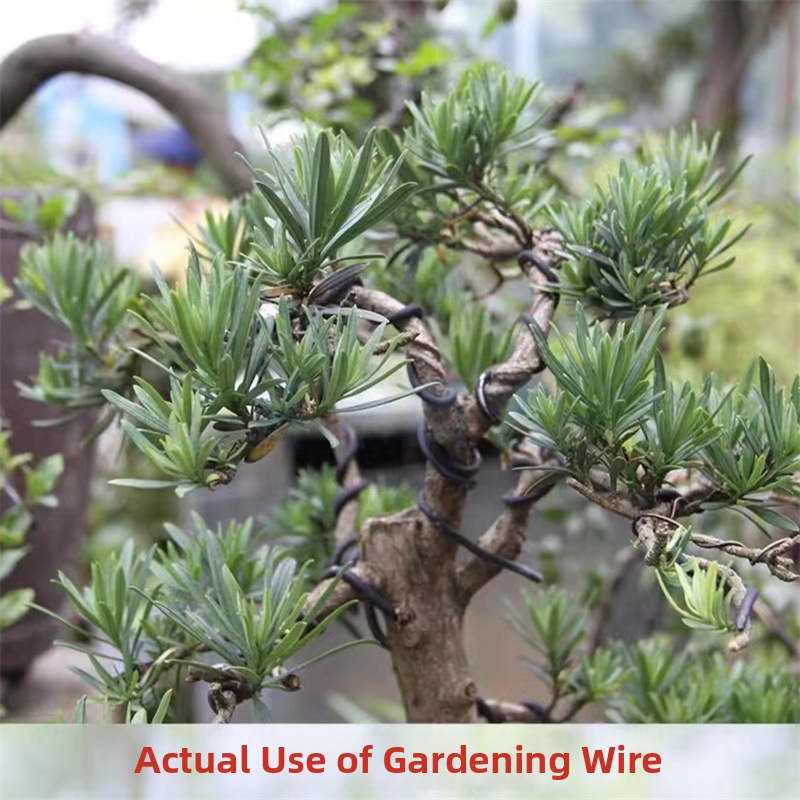 1.5MM Bonsai Wires Aluminum Bo - đánh giá và giá Gardening Tools Uses