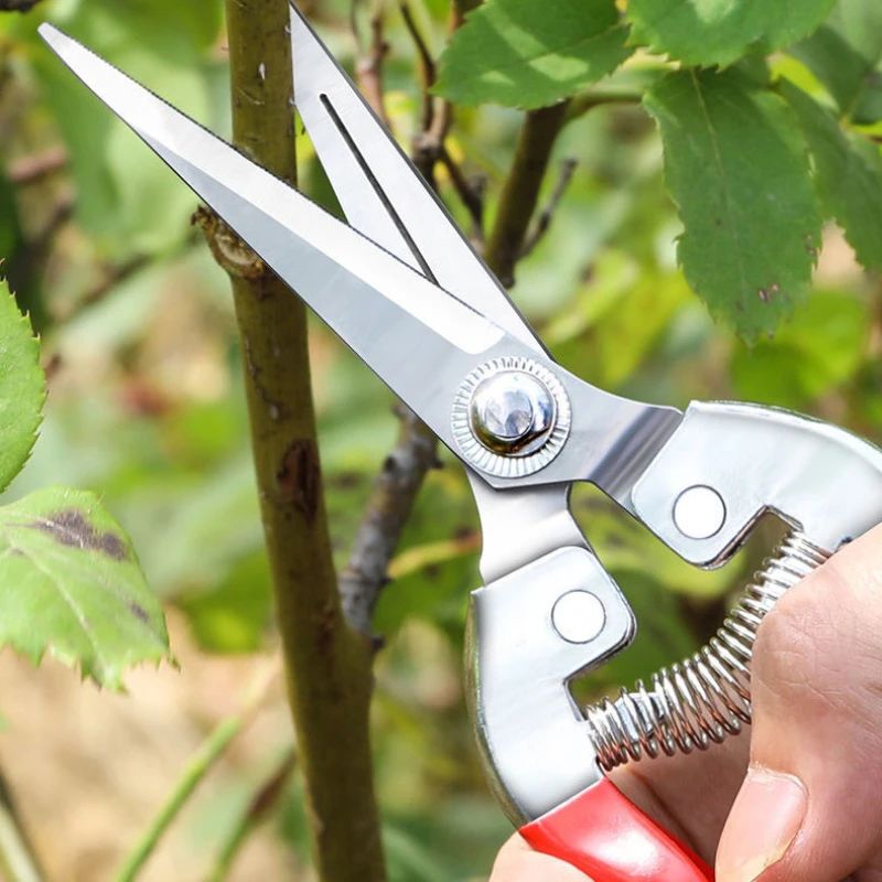 Stainless Steel Pruning Scisso - đánh giá và giá Gardening Tools Pink