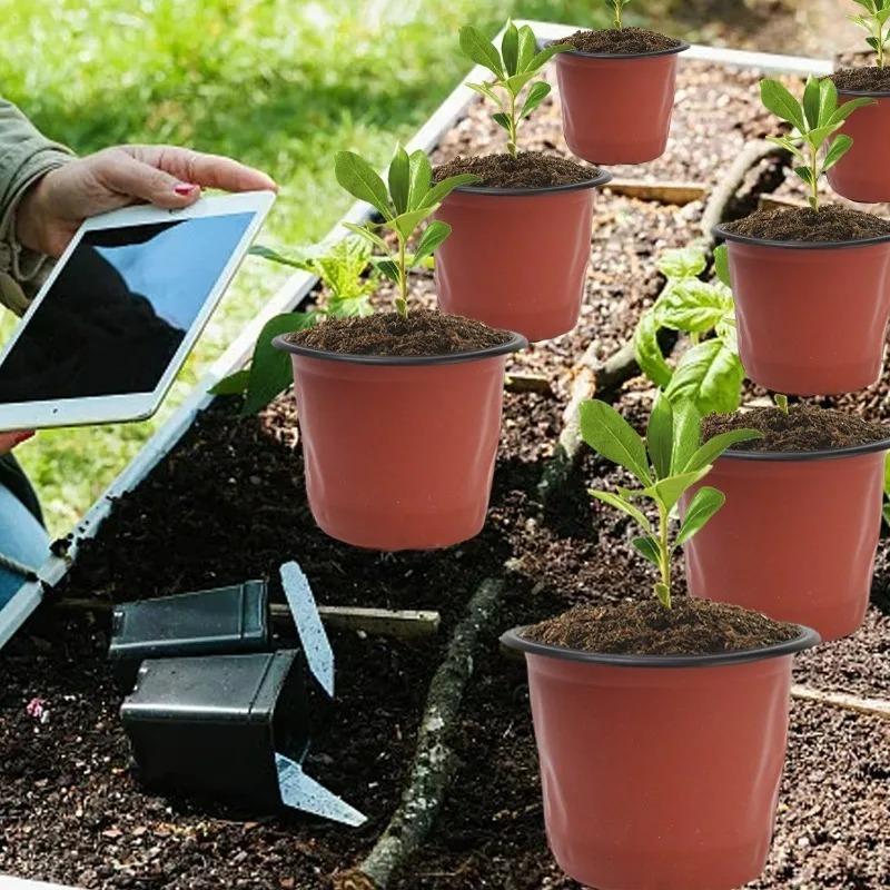 100/20x Seeding Nursery Pot Bl - đánh giá và giá Seed Starter Trays