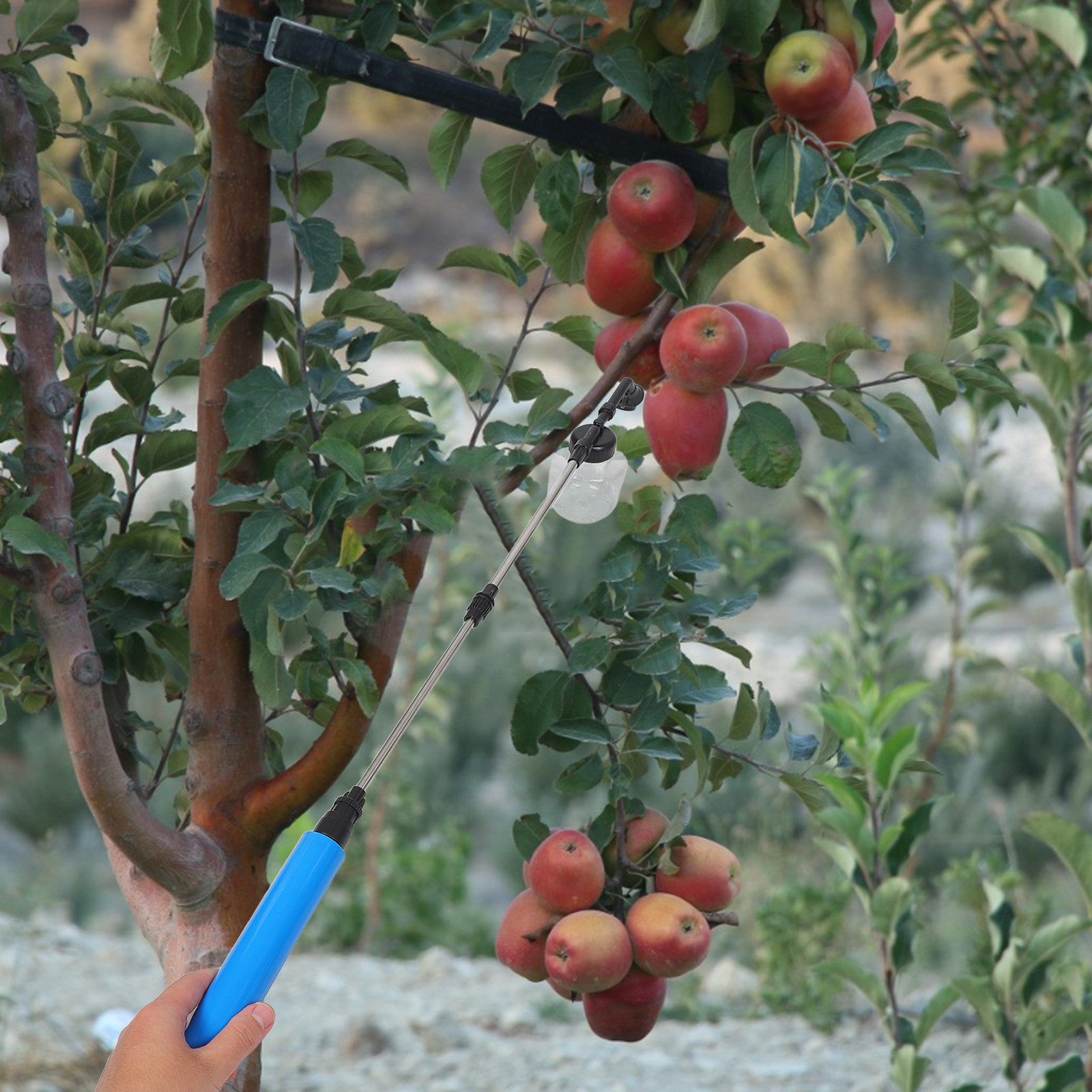 Hand Pollination Sprayer For F - đánh giá và giá Gardening Tools Uses