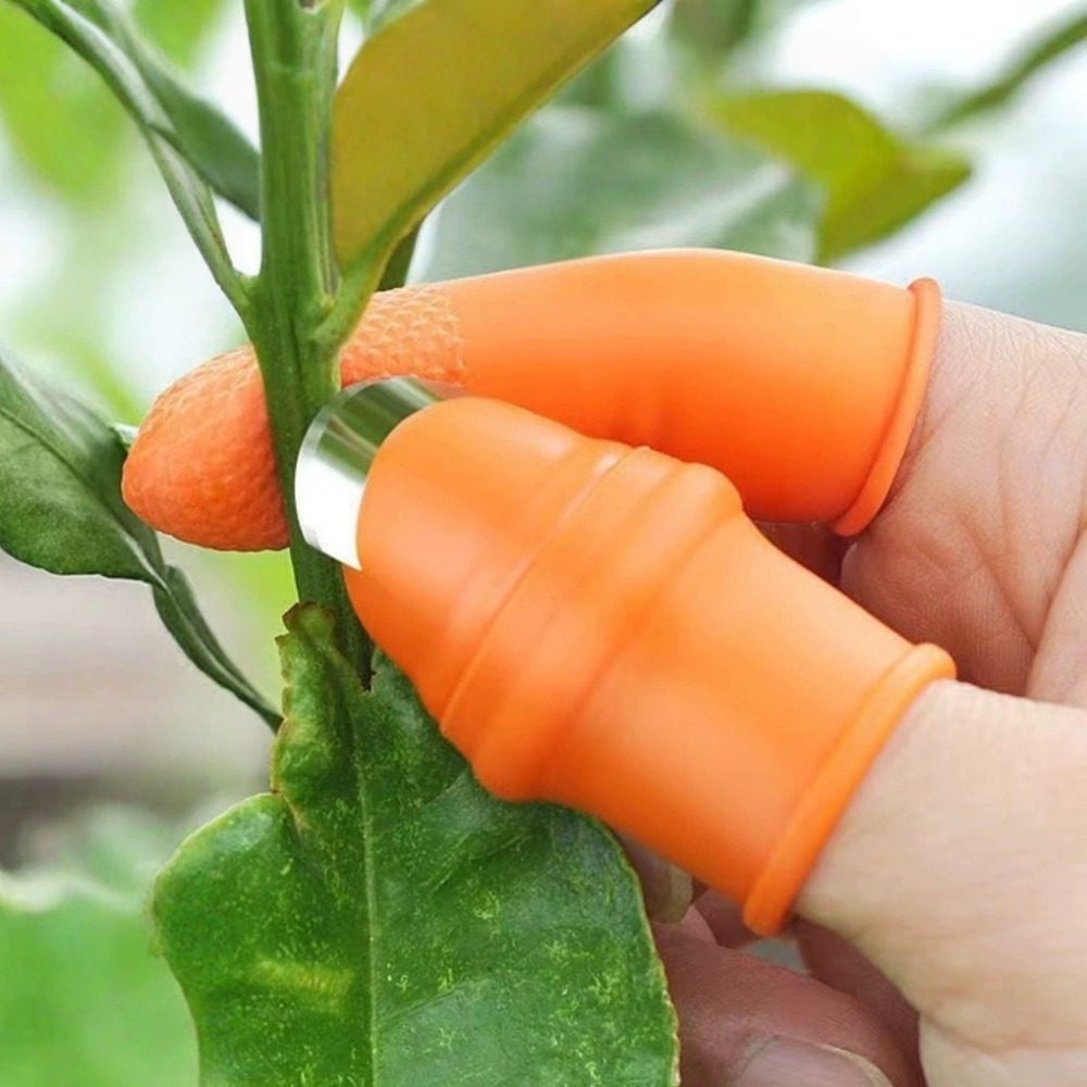 Vegetable Picking Stainless St - đánh giá và giá Gardening Tools Knife