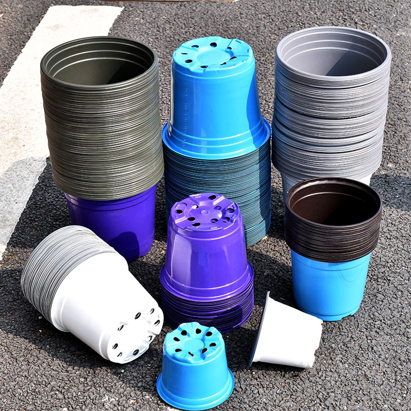 100Pcs Color Plastic Flowerpot - đánh giá và giá Seed Starter Trays